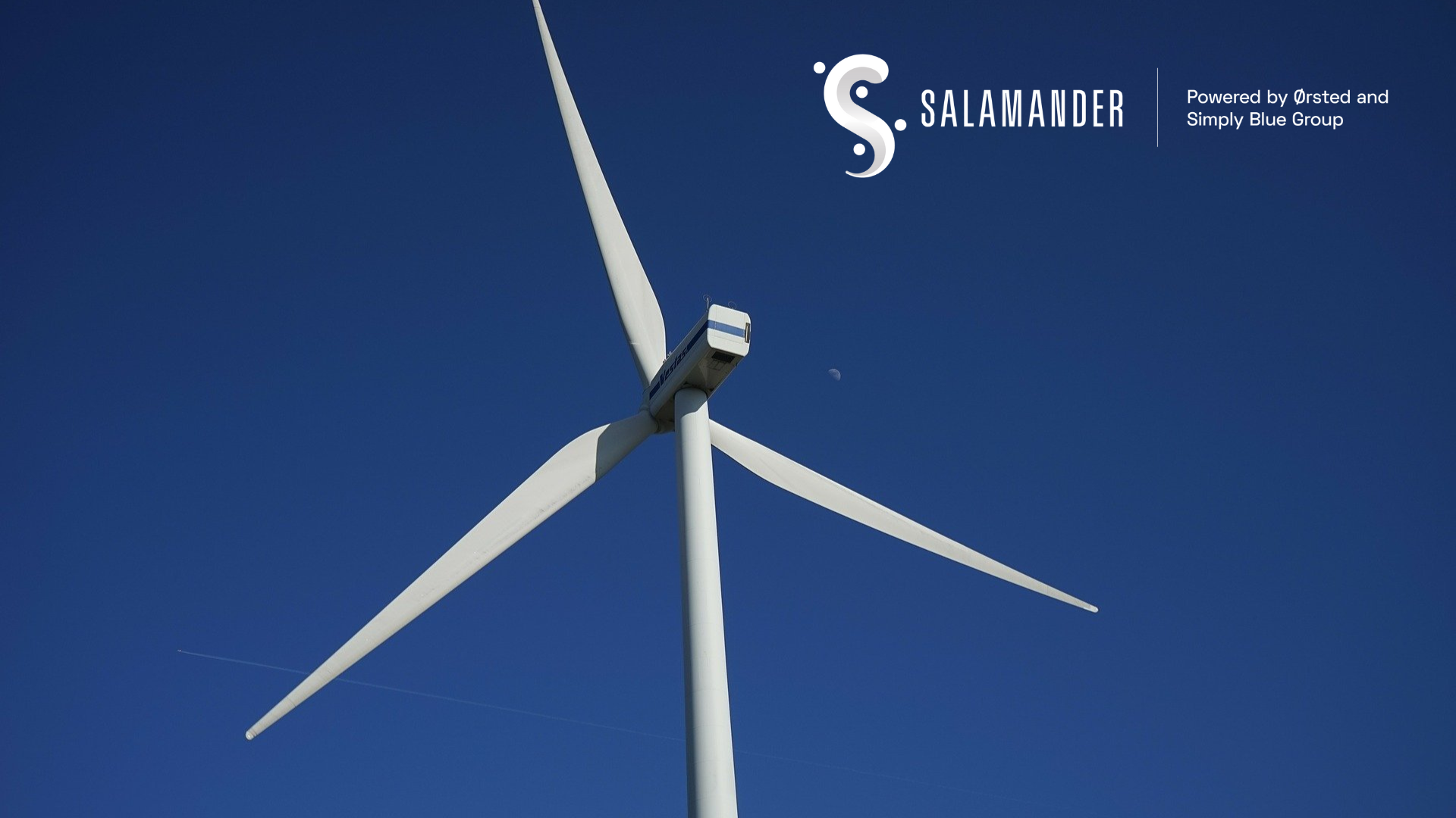 Salamander project successfully concludes data monitoring at floating offshore wind site