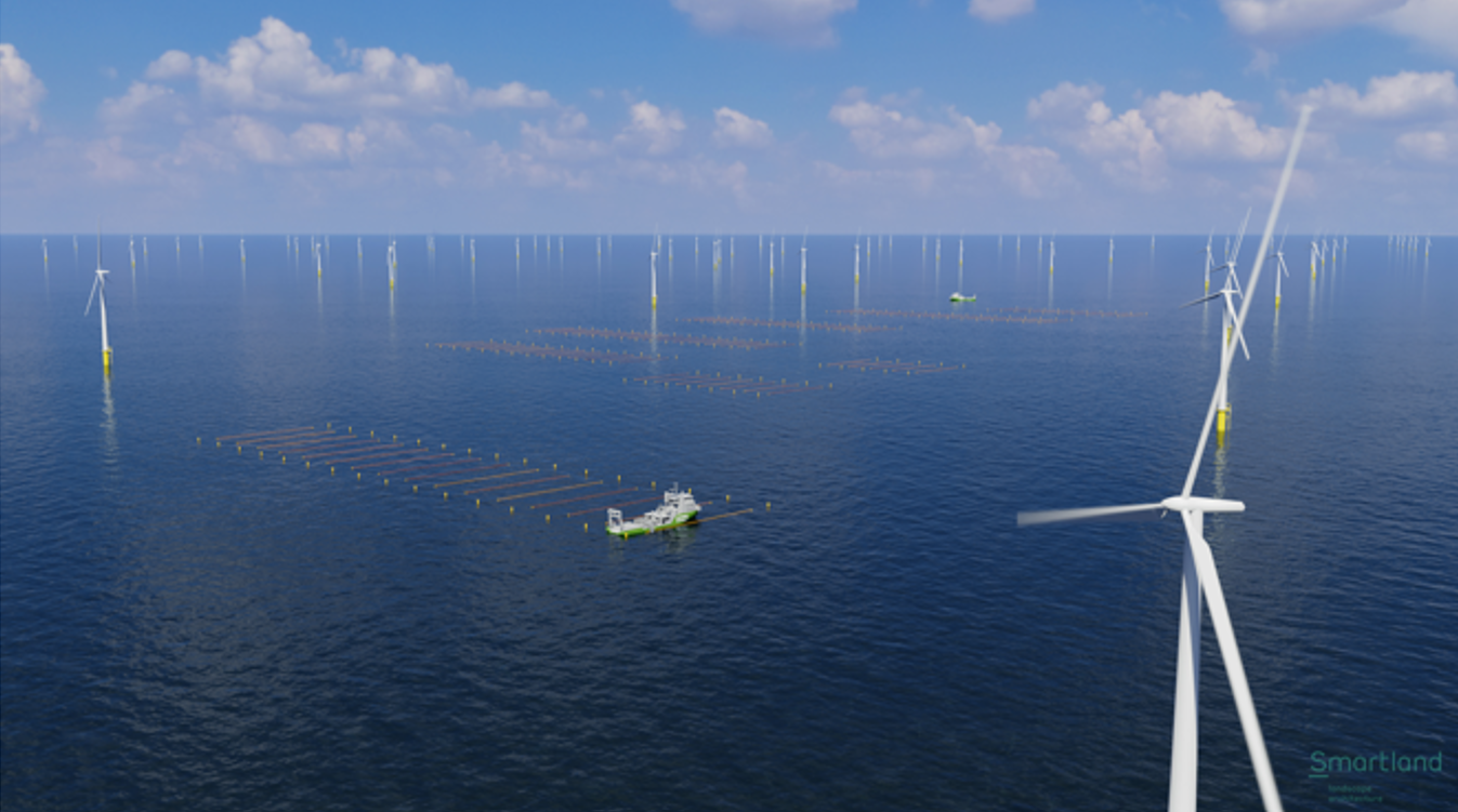 Wind farm location of the world’s first commercial scale seaweed farm announced: Hollandse Kust Zuid