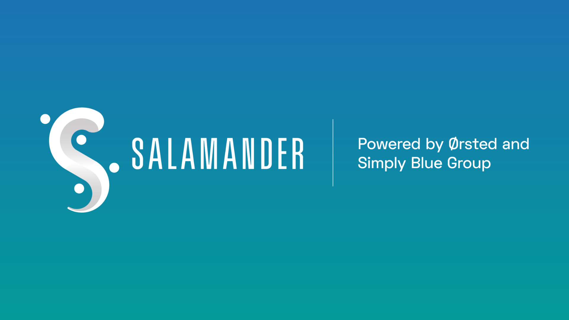 Salamander offshore wind farm secures critical onshore consent milestone