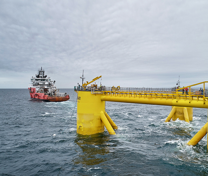 The Global Case Overview