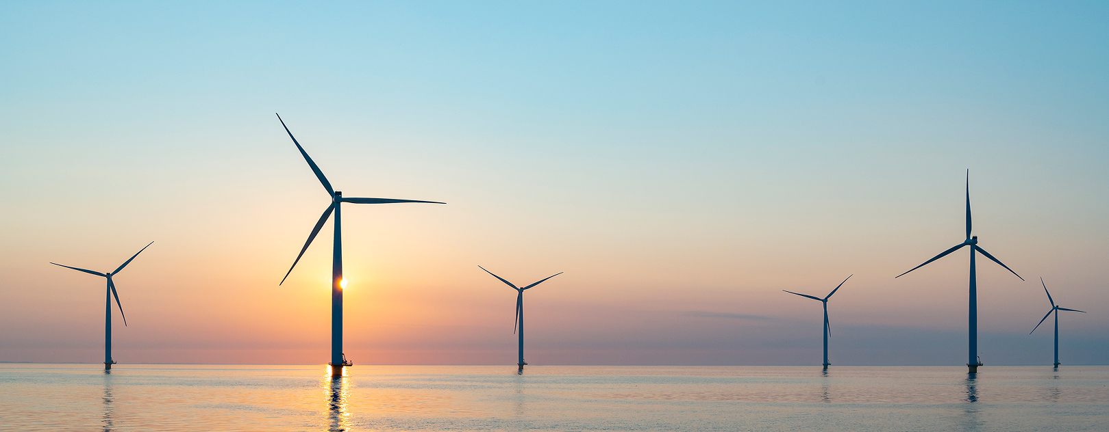 Kansai & Simply Blue Energy