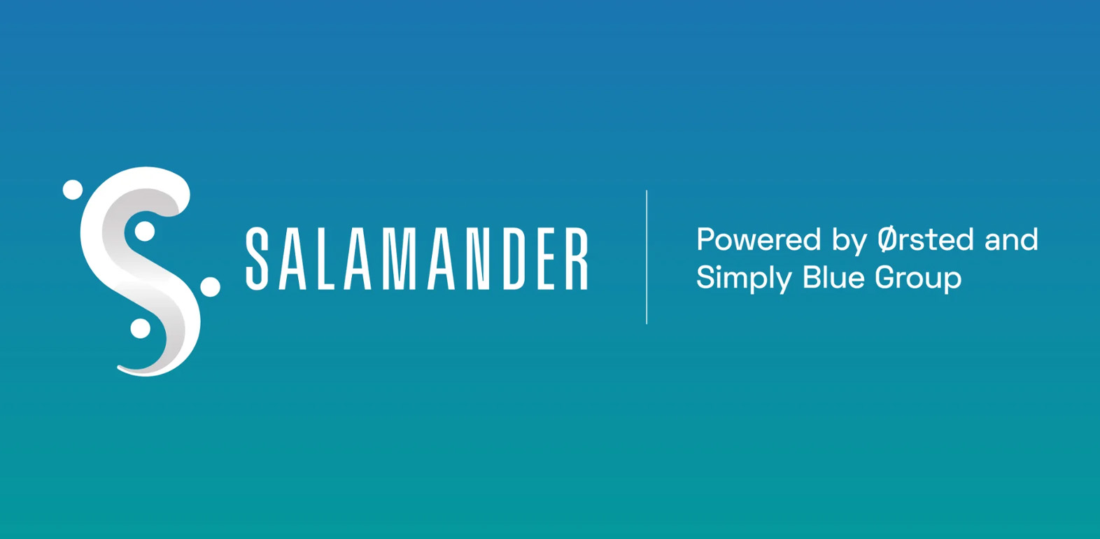 Salamander Offshore Wind Farm secures critical offshore consent award